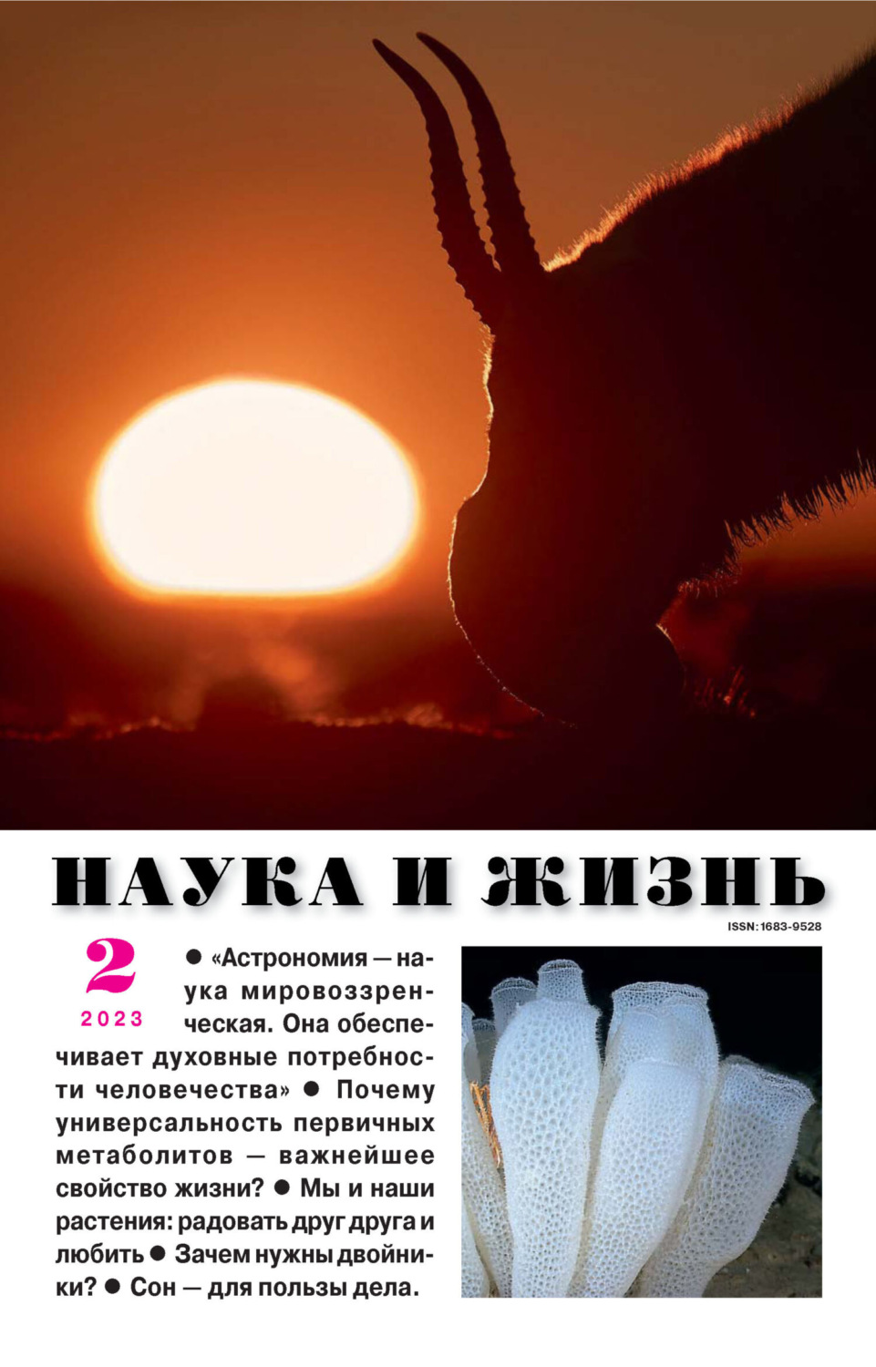 Обложка книги «Наука и жизнь №02/2023»