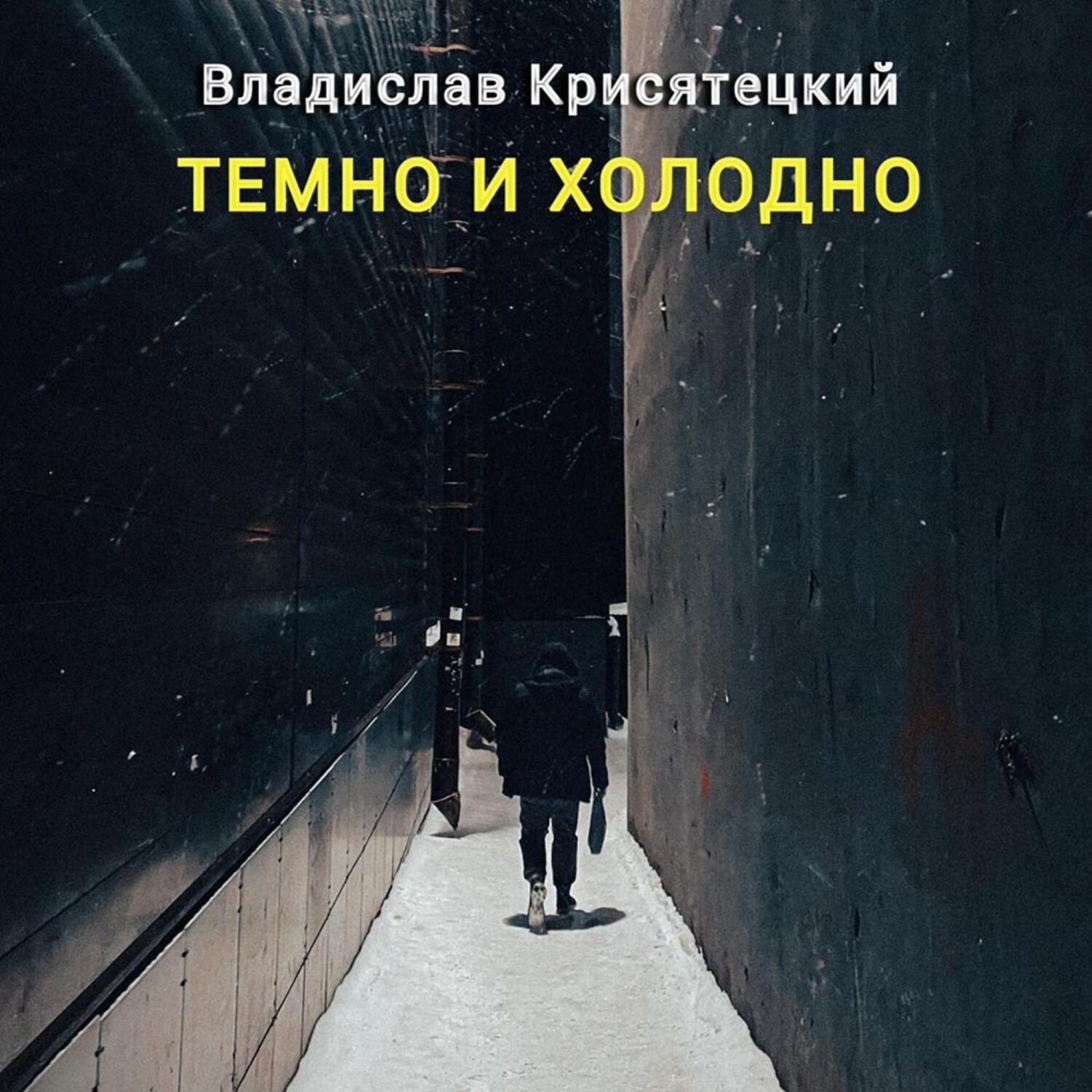 Обложка книги «Темно и холодно»