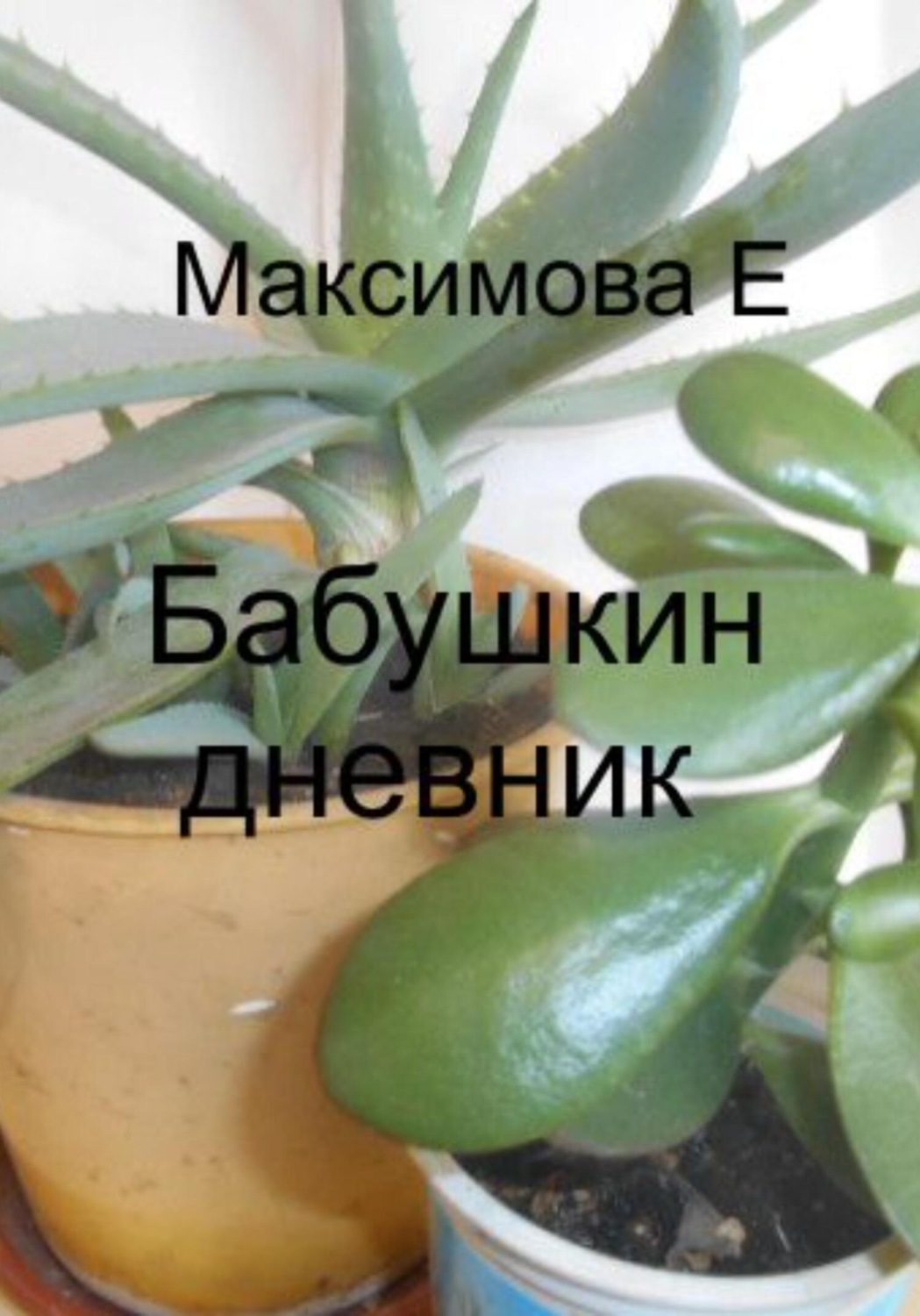 Обложка книги «Бабушкин дневник»