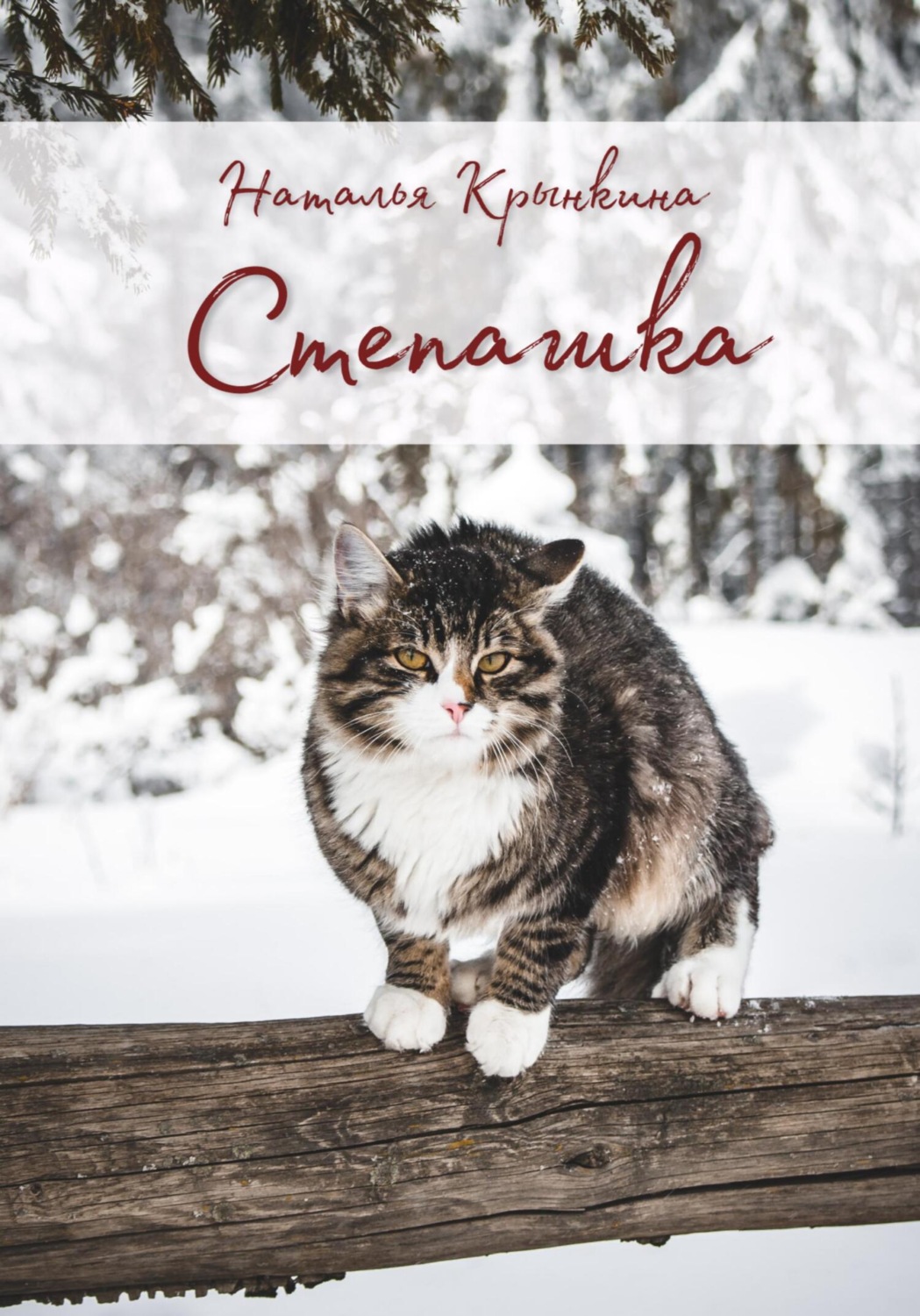 Обложка книги «Степашка»