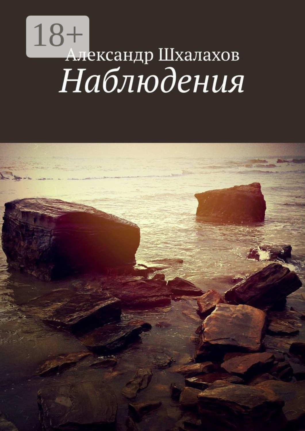 Обложка книги «Наблюдения»