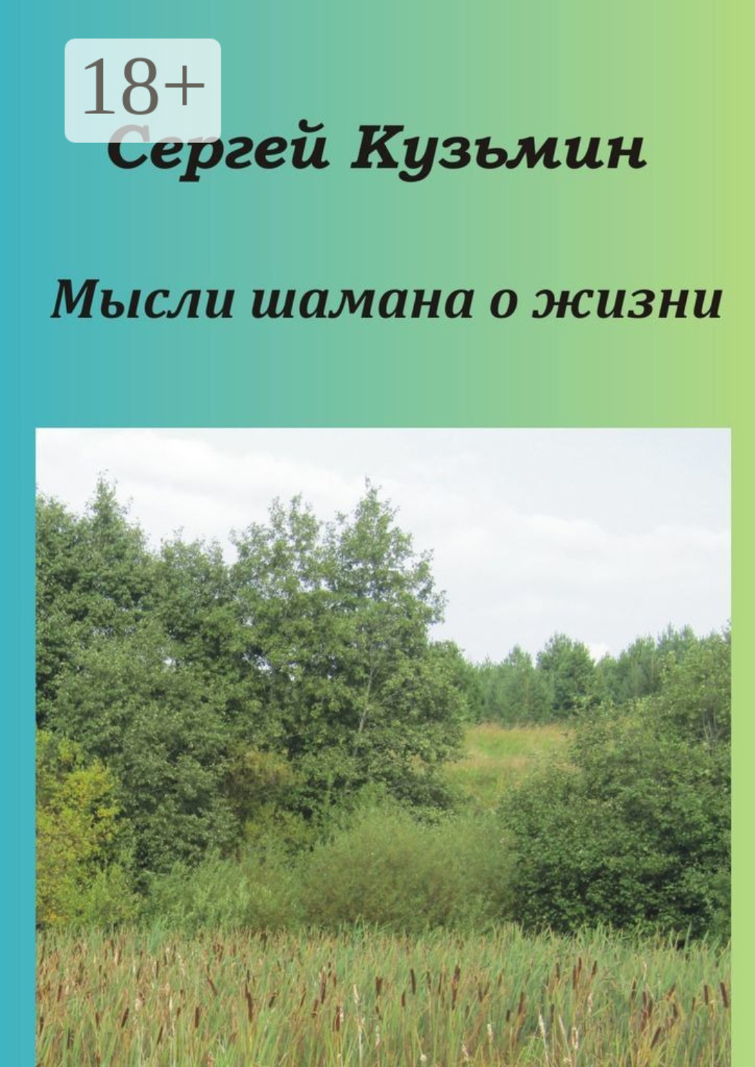 Обложка книги «Мысли шамана о жизни»