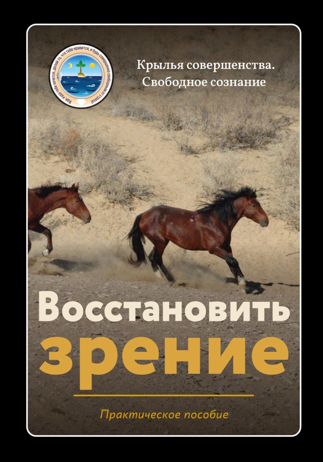 Обложка книги «Восстановить зрение»