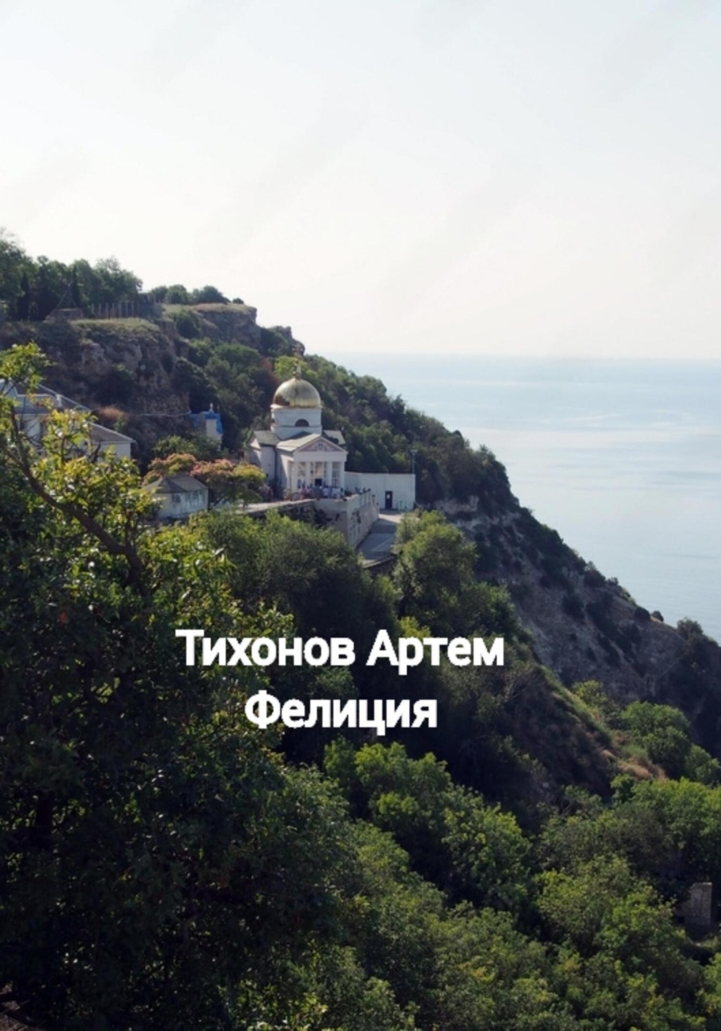 Обложка книги «Фелиция»