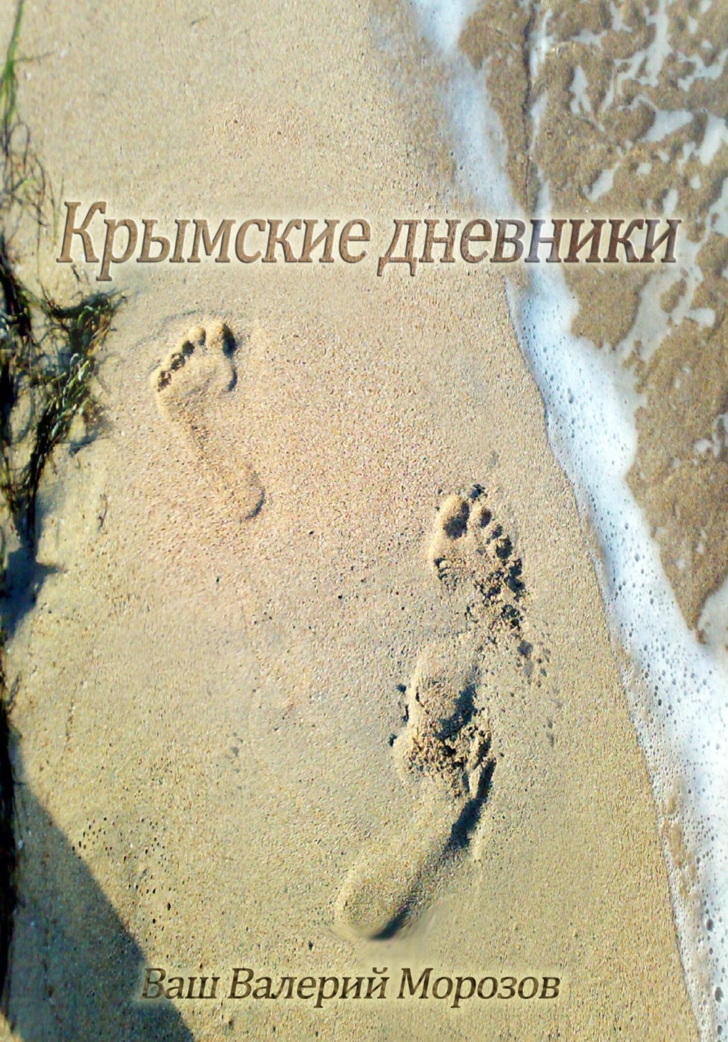 Обложка книги «Крымские дневники»