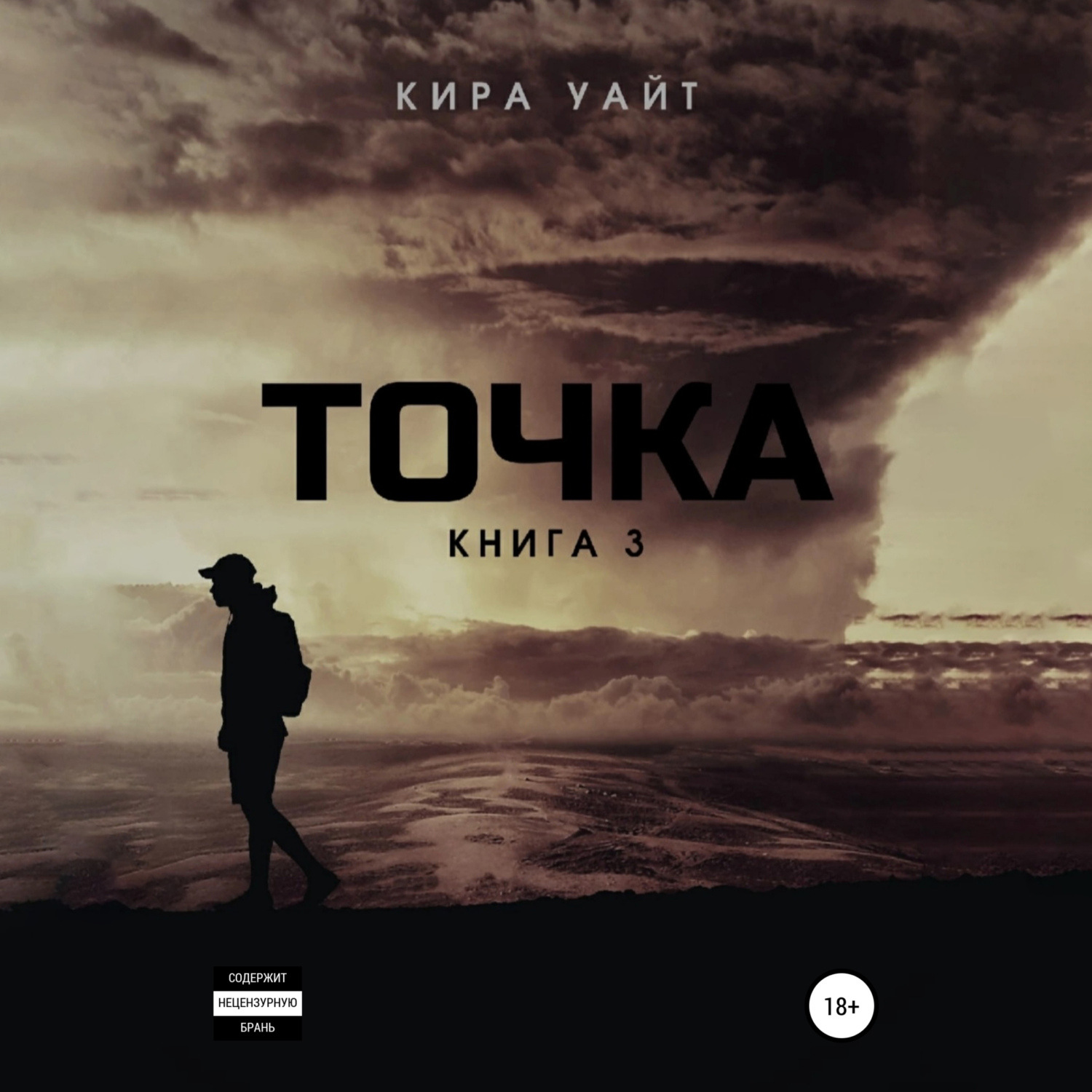 Обложка книги «Точка. Книга 3»