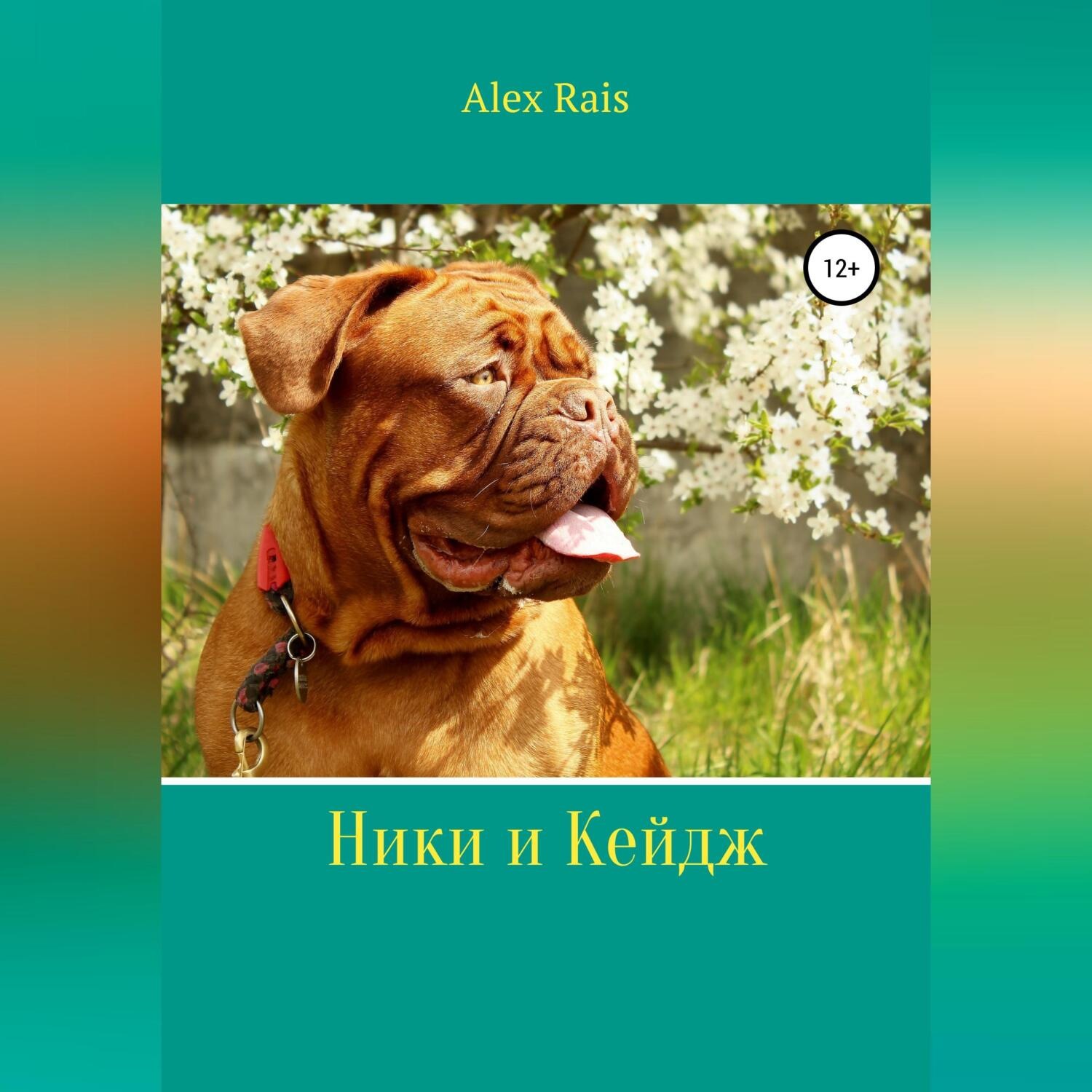 Обложка книги «Ники и Кейдж»