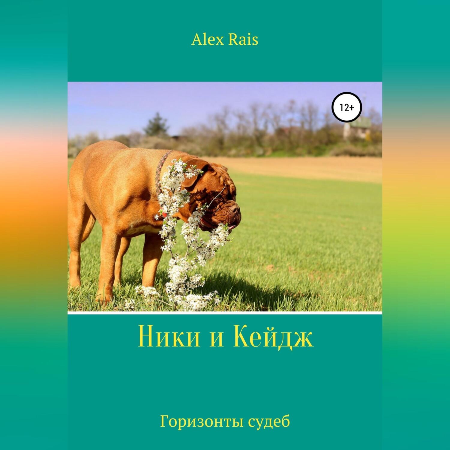 Обложка книги «Ники и Кейдж. Горизонты судеб»