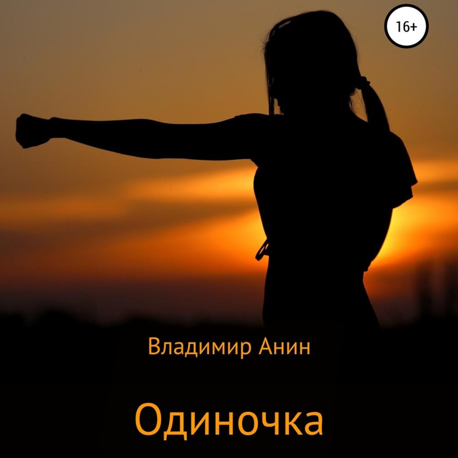 Обложка книги «Одиночка»