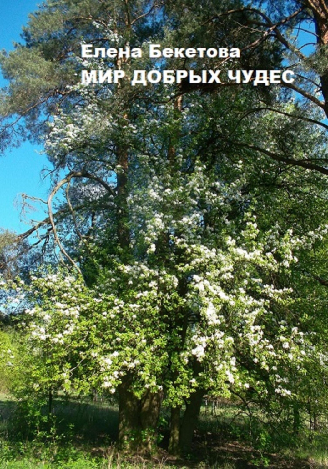 Обложка книги «Мир добрых чудес»