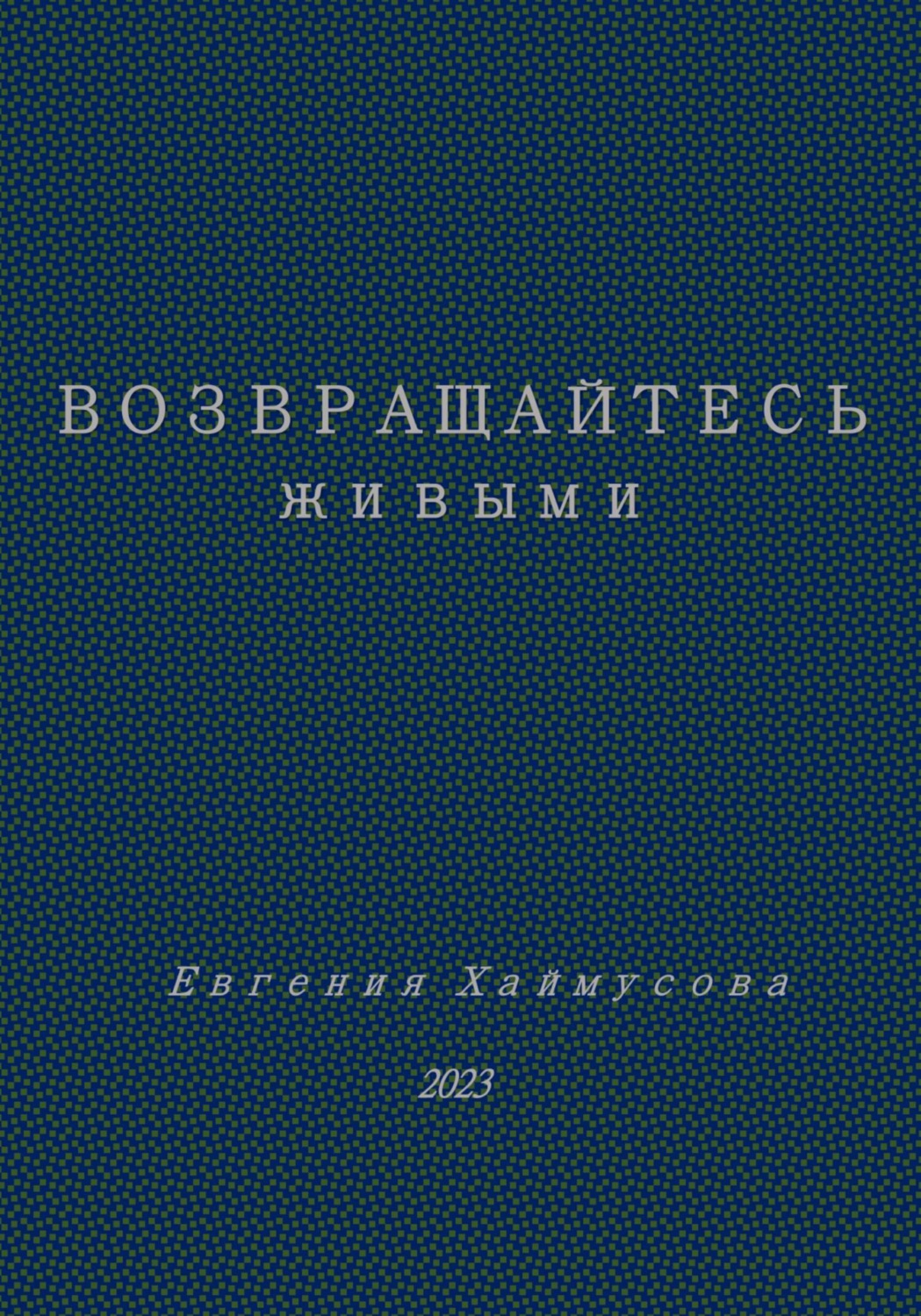 Обложка книги «Возвращайтесь живыми»