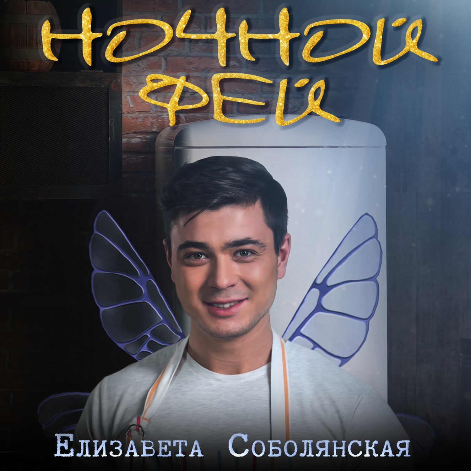 Обложка книги «Ночной фей»