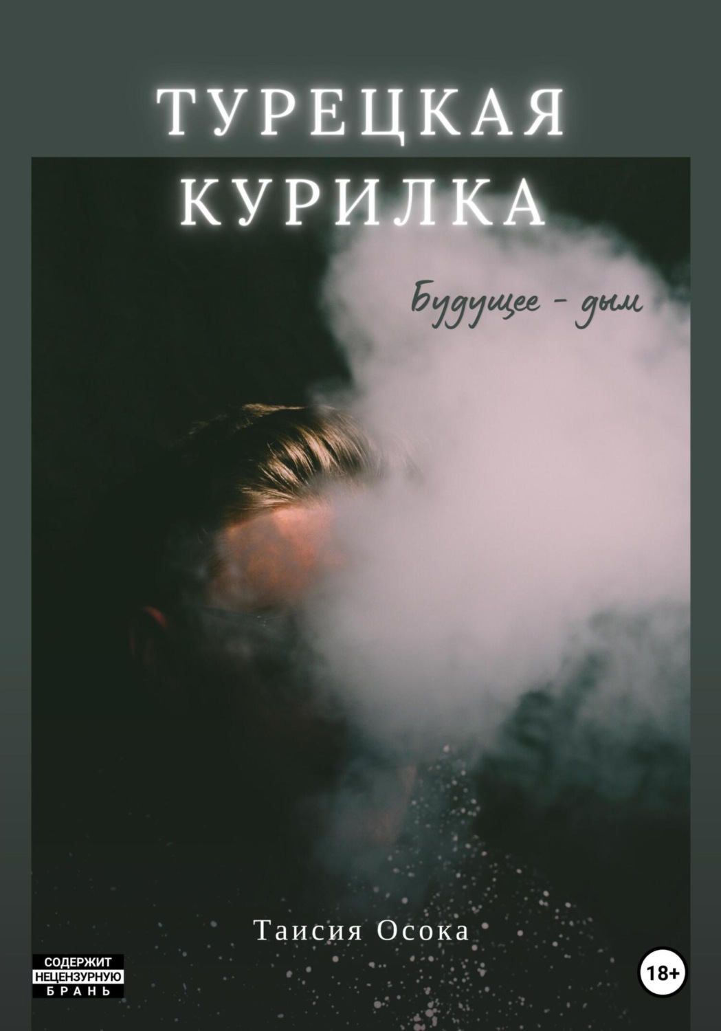 Обложка книги «Турецкая курилка»