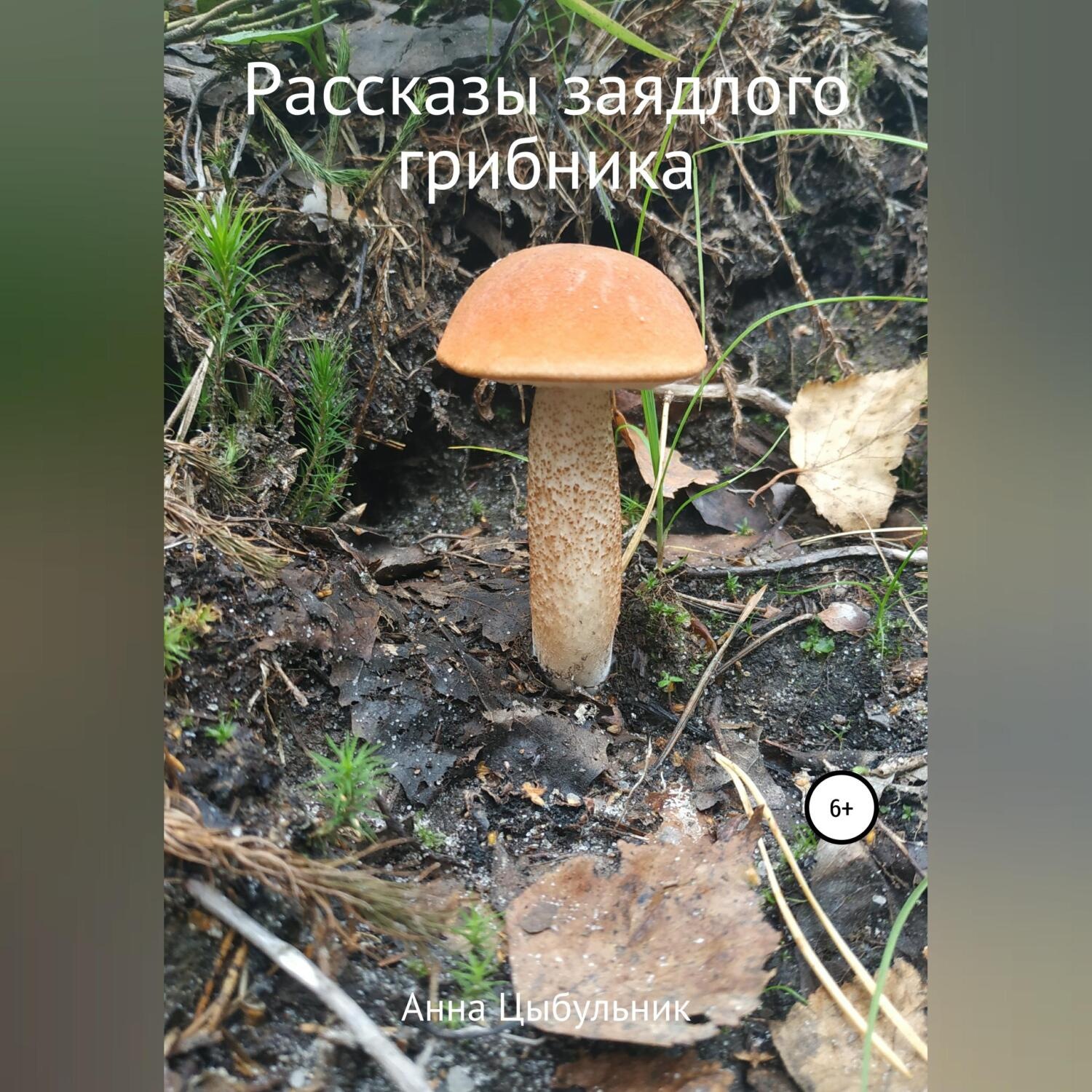 Обложка книги «Рассказы заядлого грибника»