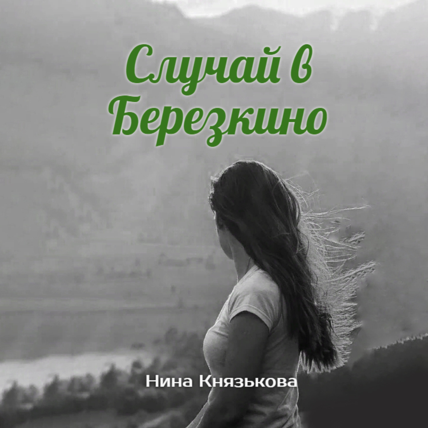 Обложка книги «Случай в Березкино»