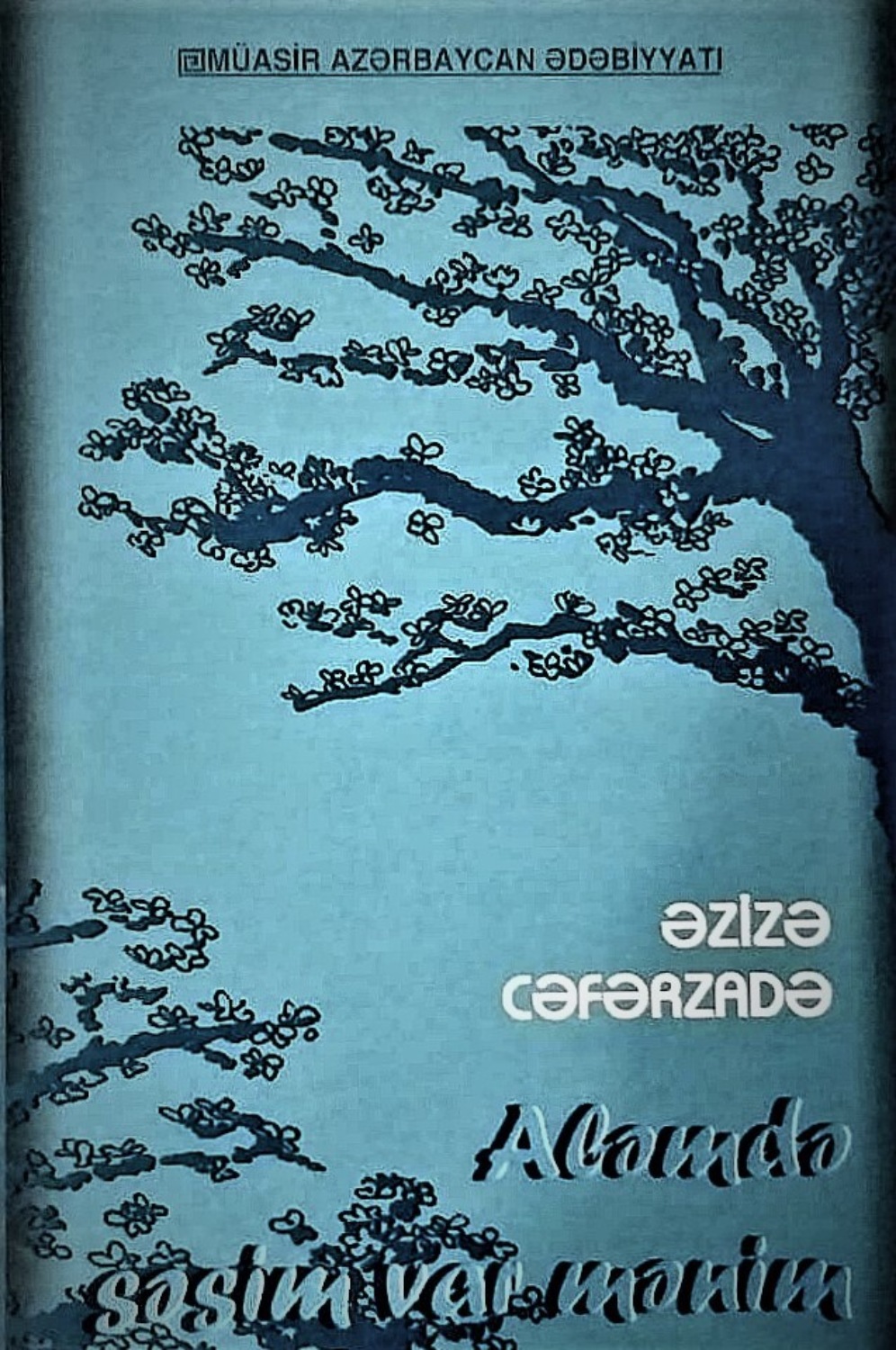 Обложка книги «Aləmdə səsim var mənim»