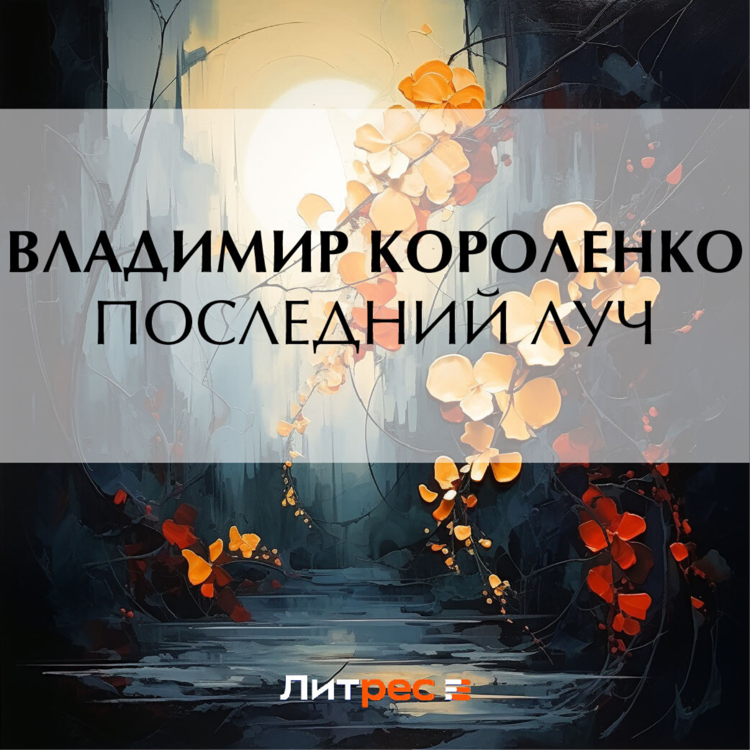 Обложка книги «Последний луч»
