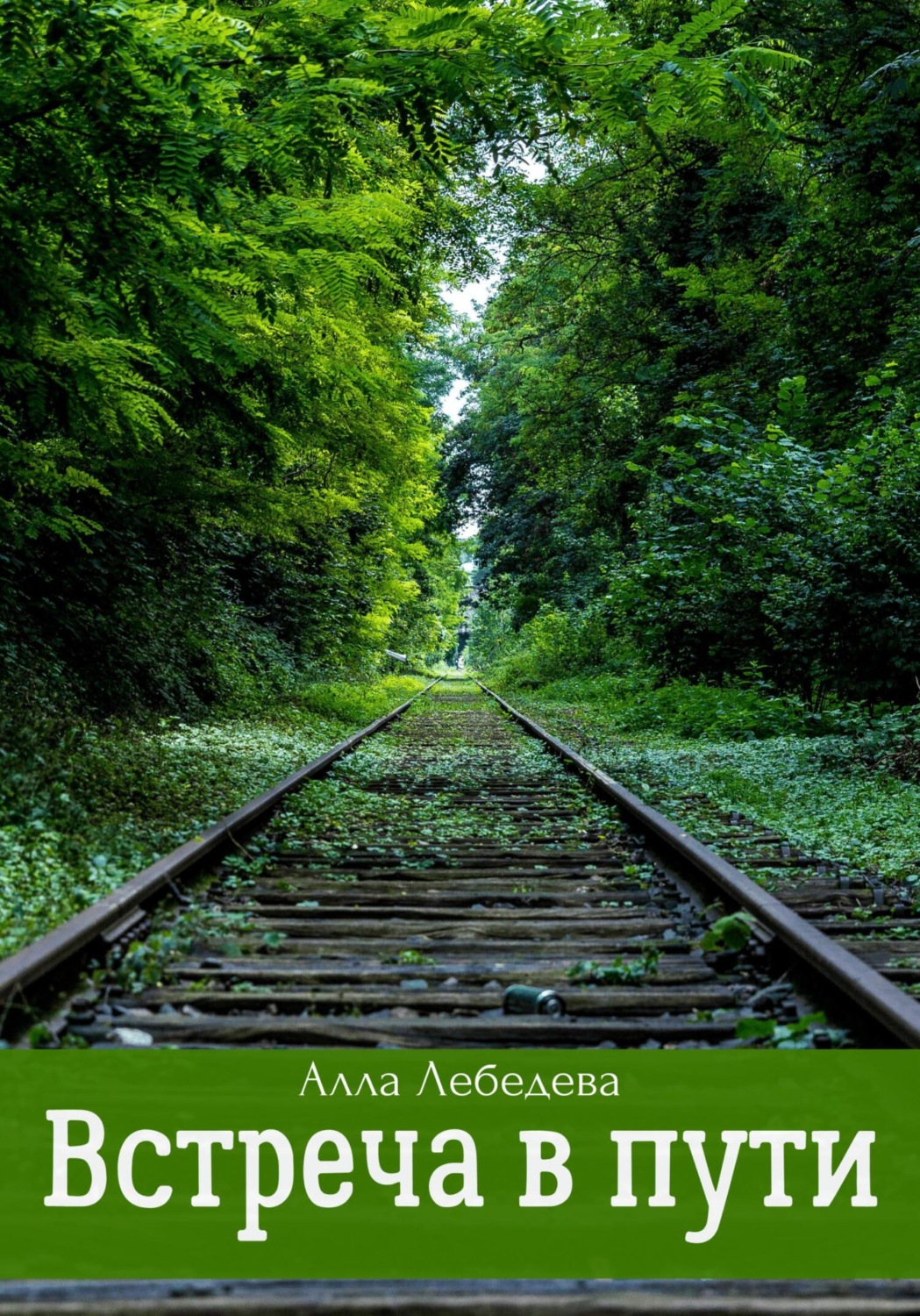 Обложка книги «Встреча в пути»