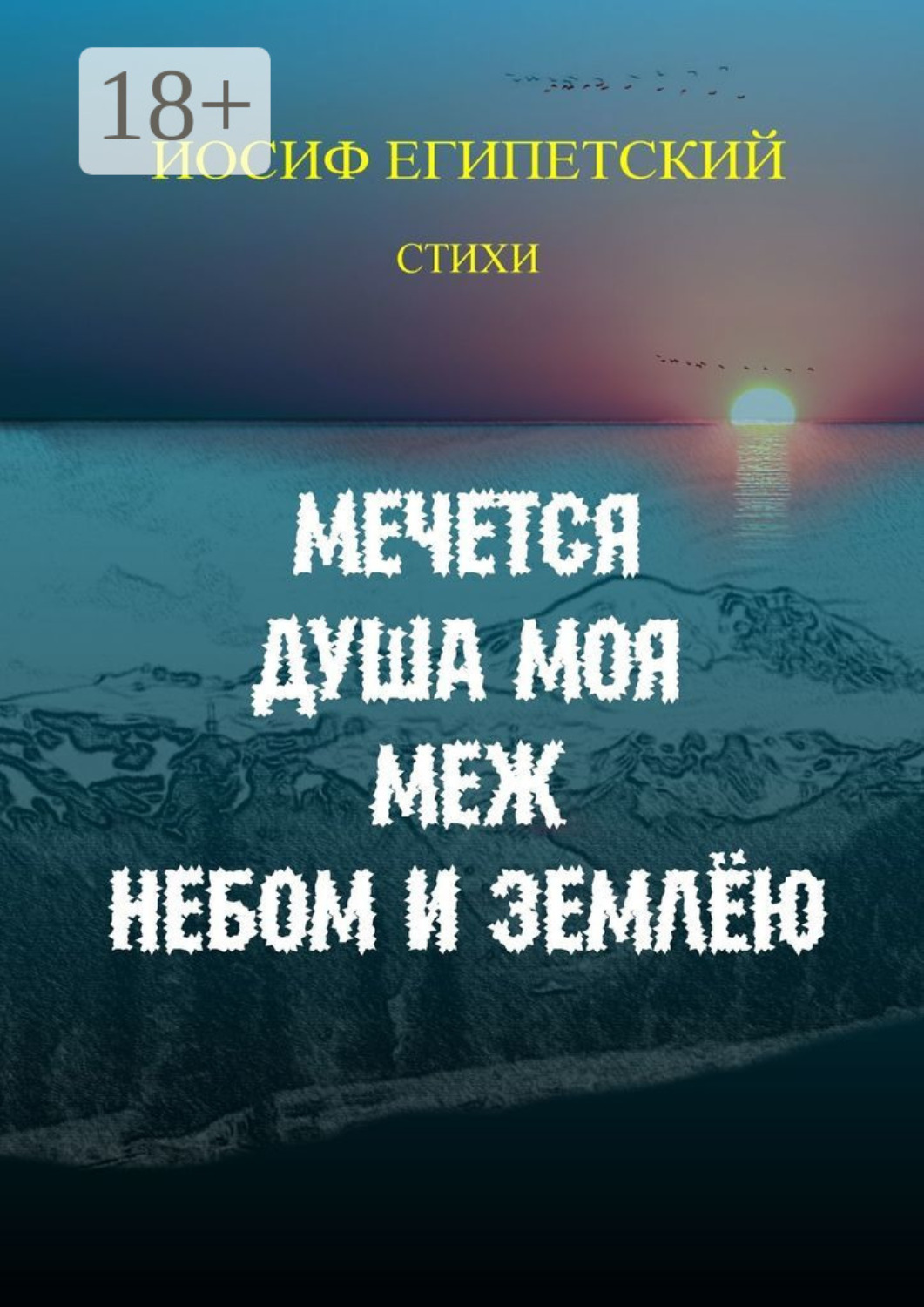 Обложка книги «Мечется душа моя меж небом и землёю»