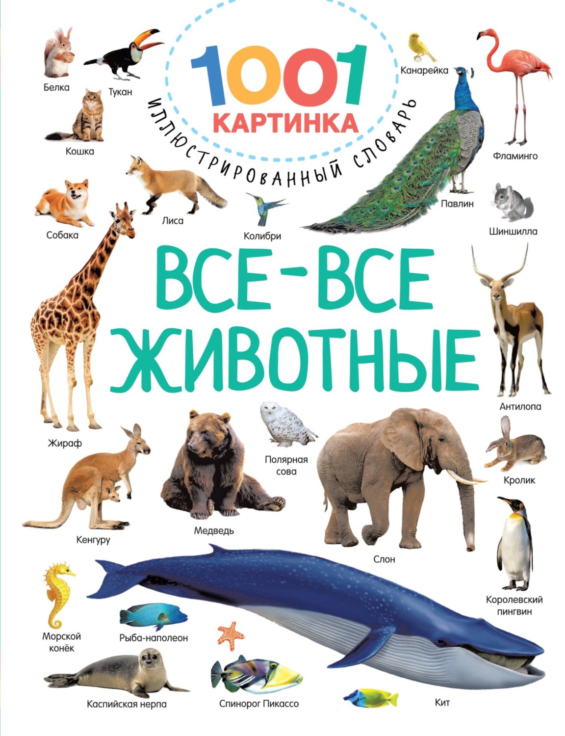 Обложка книги «Все-все животные»