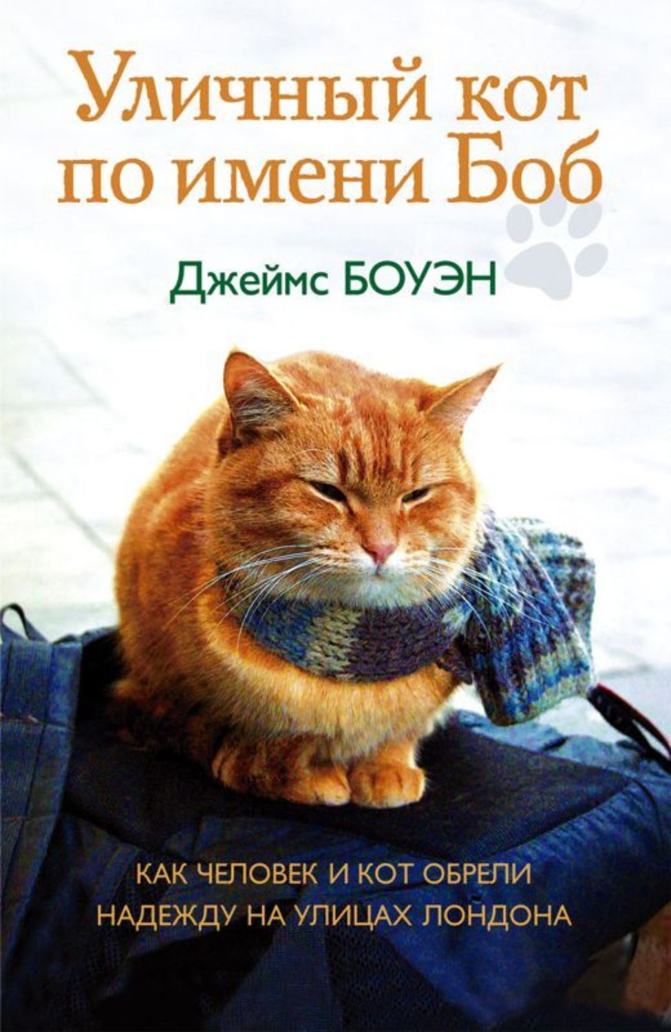 Обложка книги «Уличный кот по имени Боб. Как человек и кот обрели надежду на улицах Лондона»