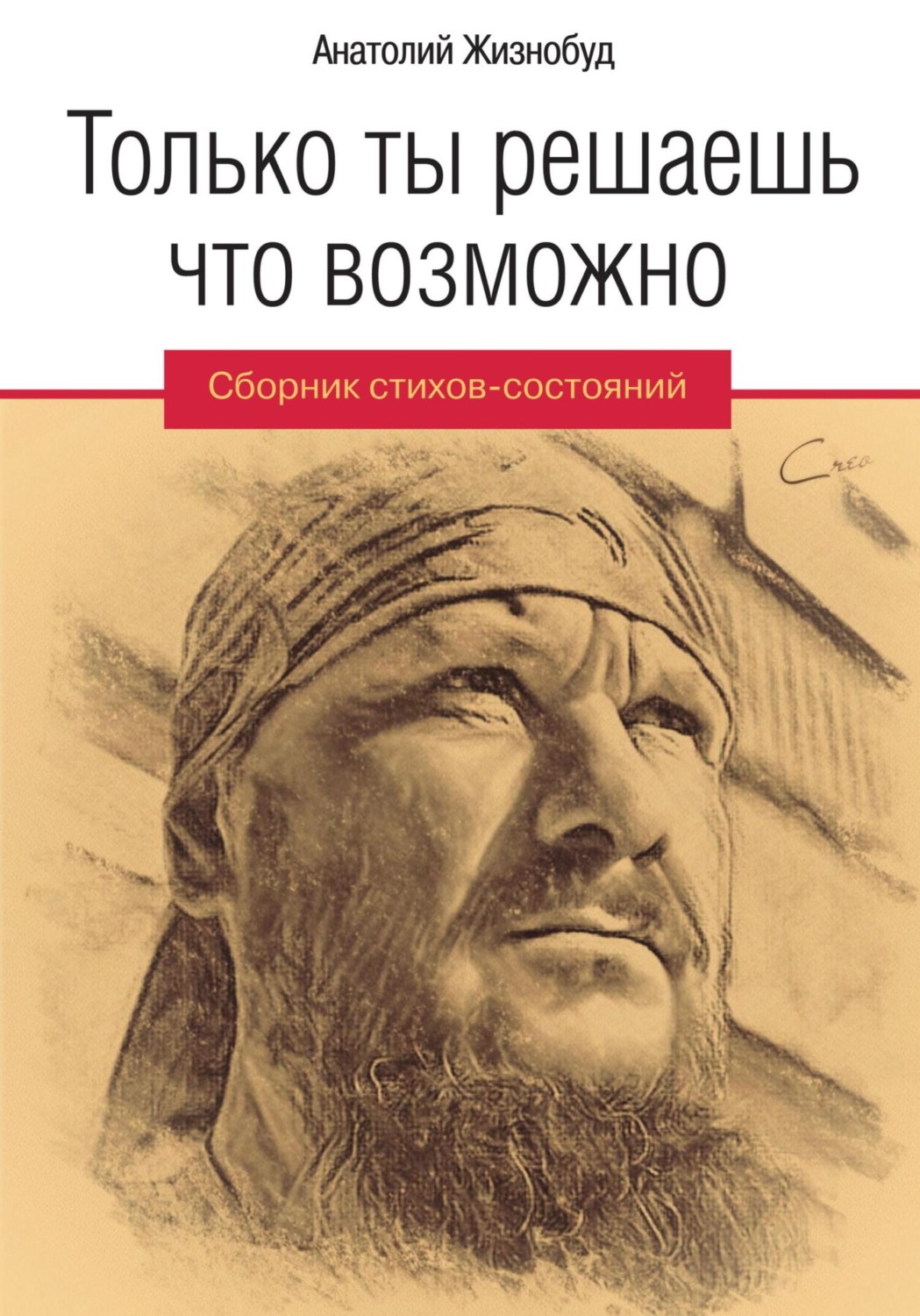 Обложка книги «Только ты решаешь что возможно. Сборник стихов-состояний»