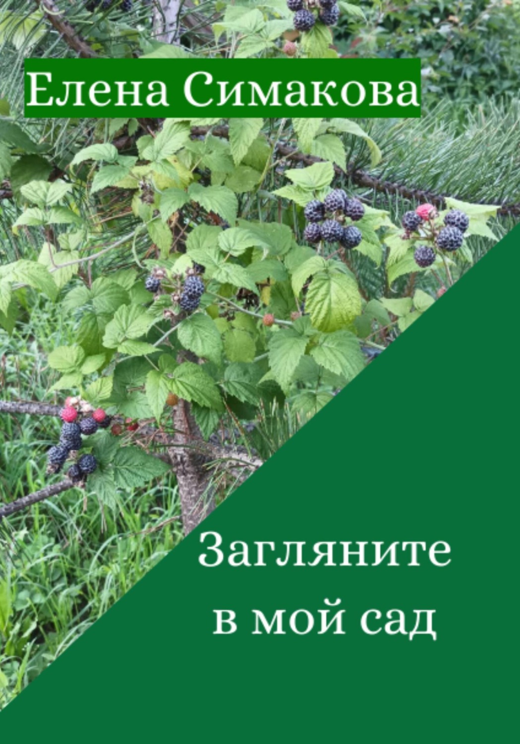 Обложка книги «Загляните в мой сад»