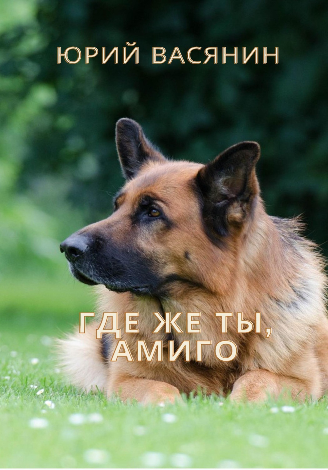 Обложка книги «Где же ты, Амиго»