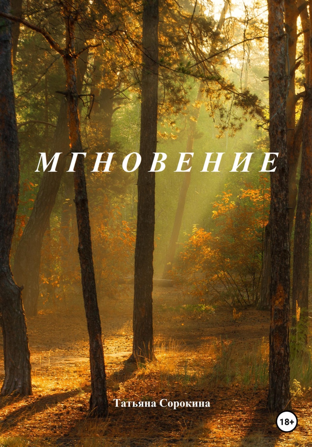 Обложка книги «Мгновение»