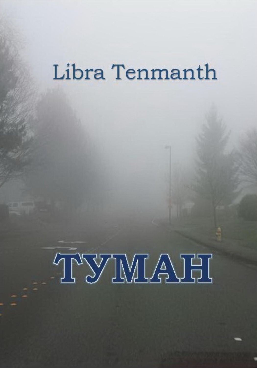 Обложка книги «Туман.»