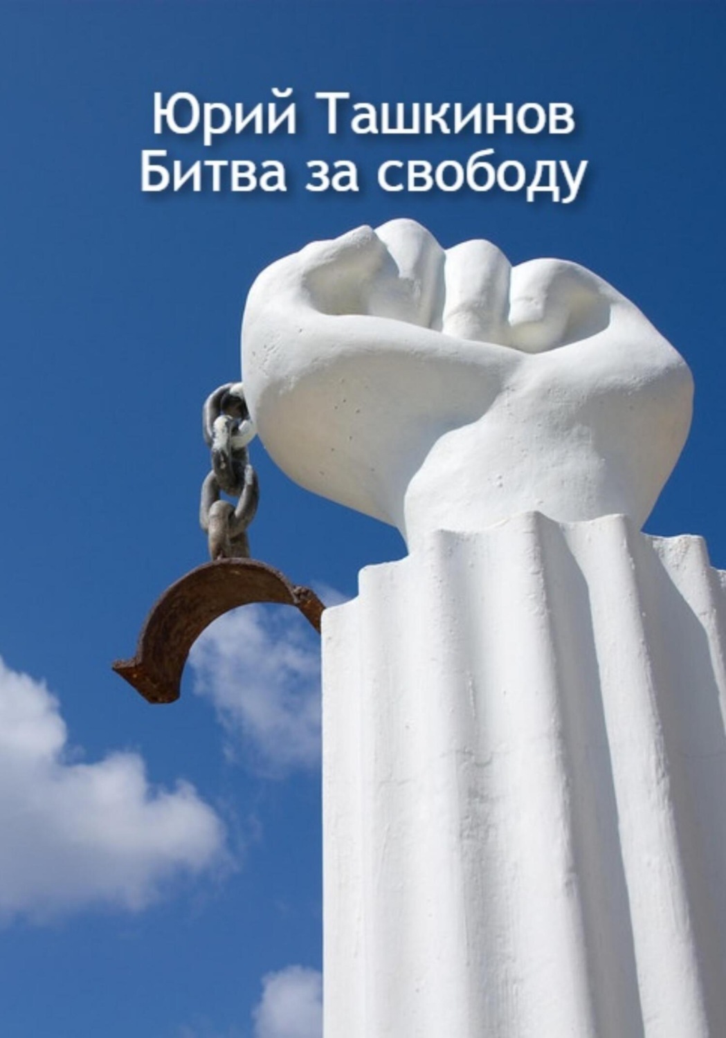 Обложка книги «Битва за свободу»