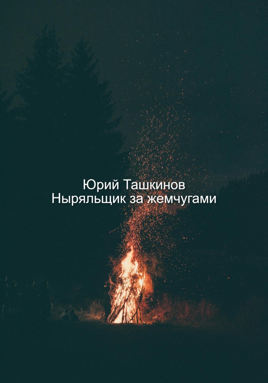 Обложка книги «Ныряльщик за жемчугами»