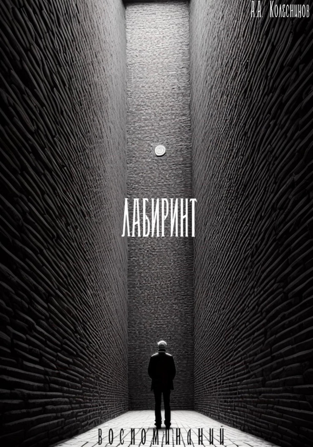 Обложка книги «Лабиринт воспоминаний»
