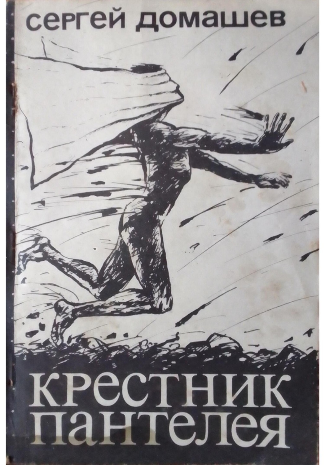 Обложка книги «Крестник пантелея»