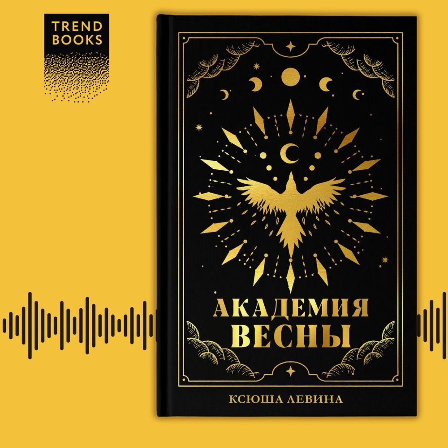 Обложка книги «Академия Весны»