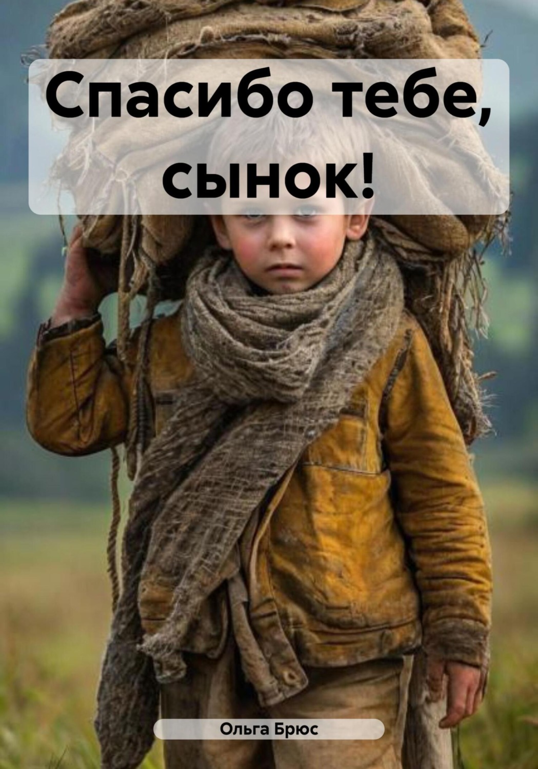 Обложка книги «Спасибо тебе, сынок!»