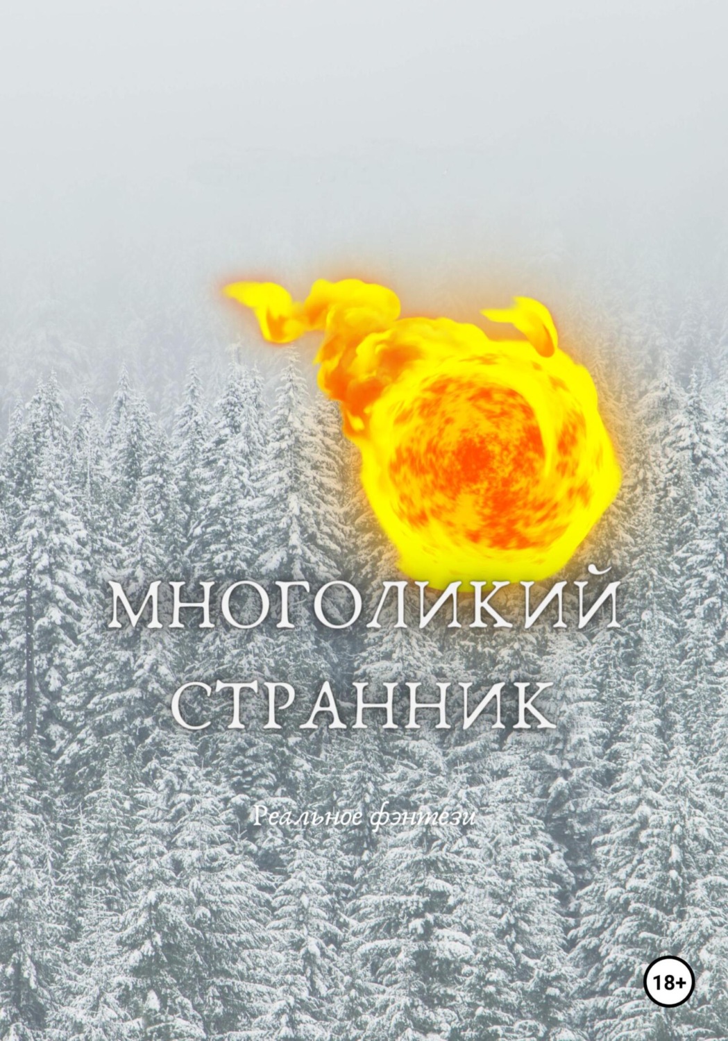 Обложка книги «Многоликий странник»