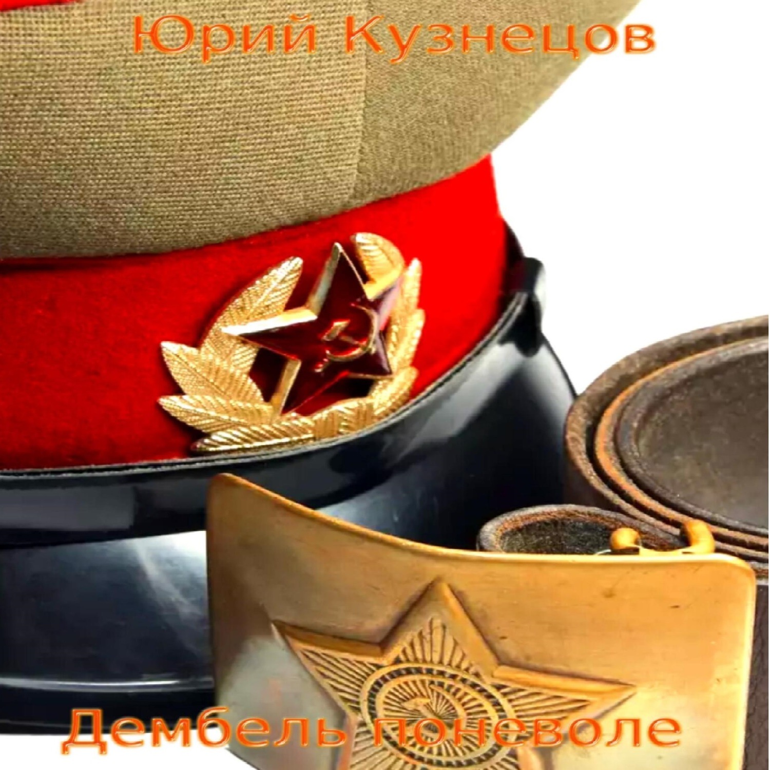Обложка книги «Дембель поневоле»