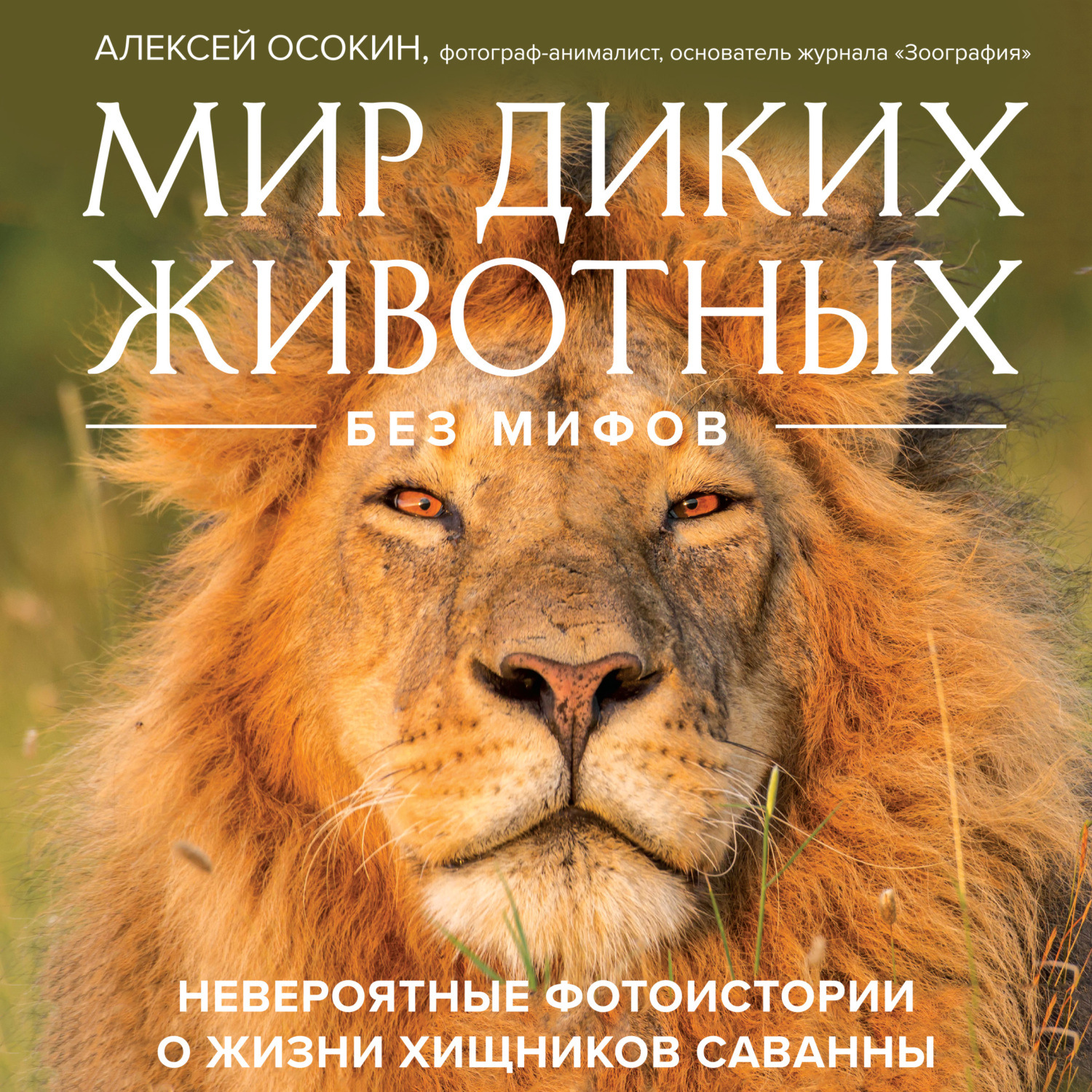 Обложка книги «Мир диких животных без мифов. Невероятные фото-истории о жизни хищников саванны»