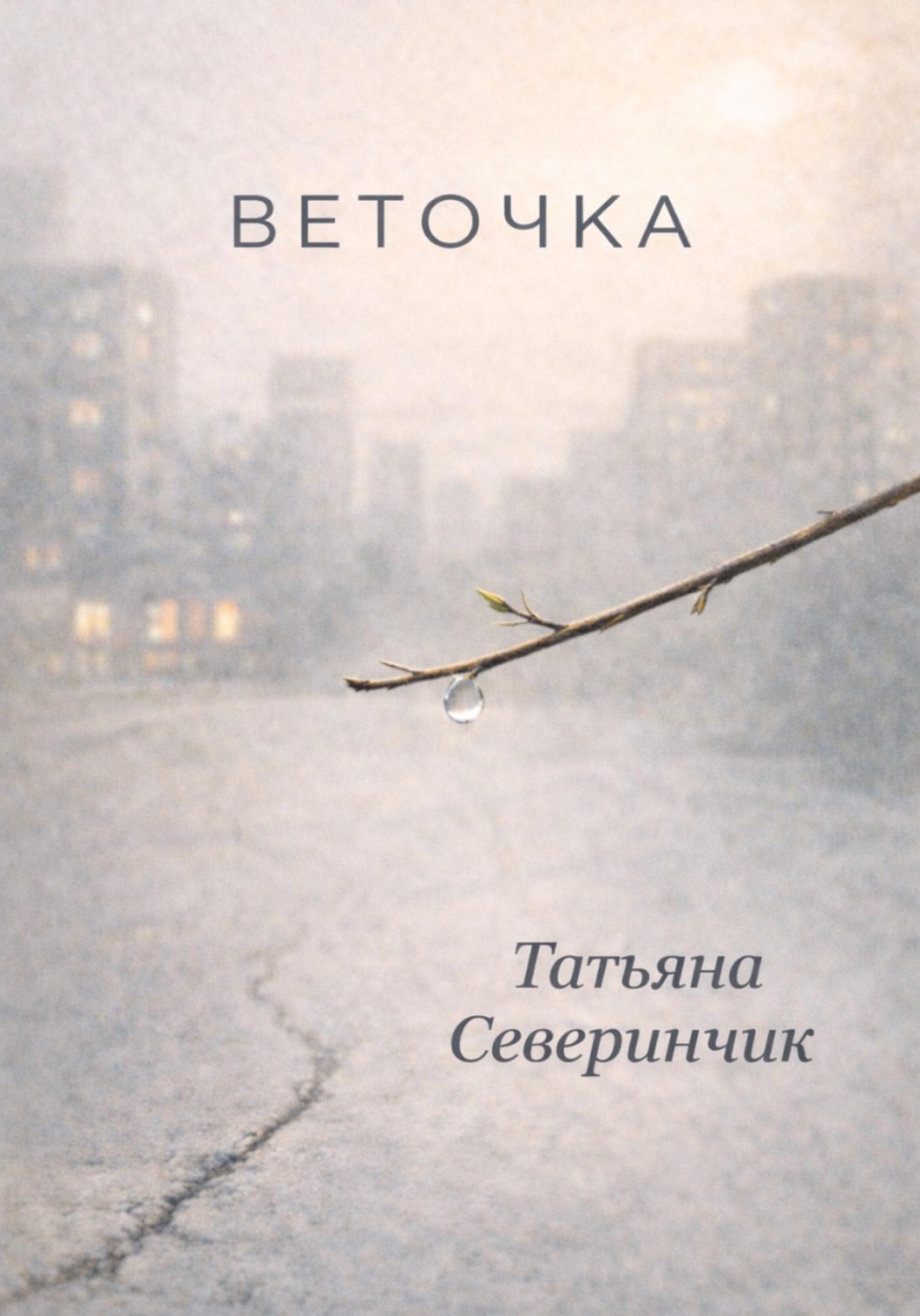 Обложка книги «Веточка»