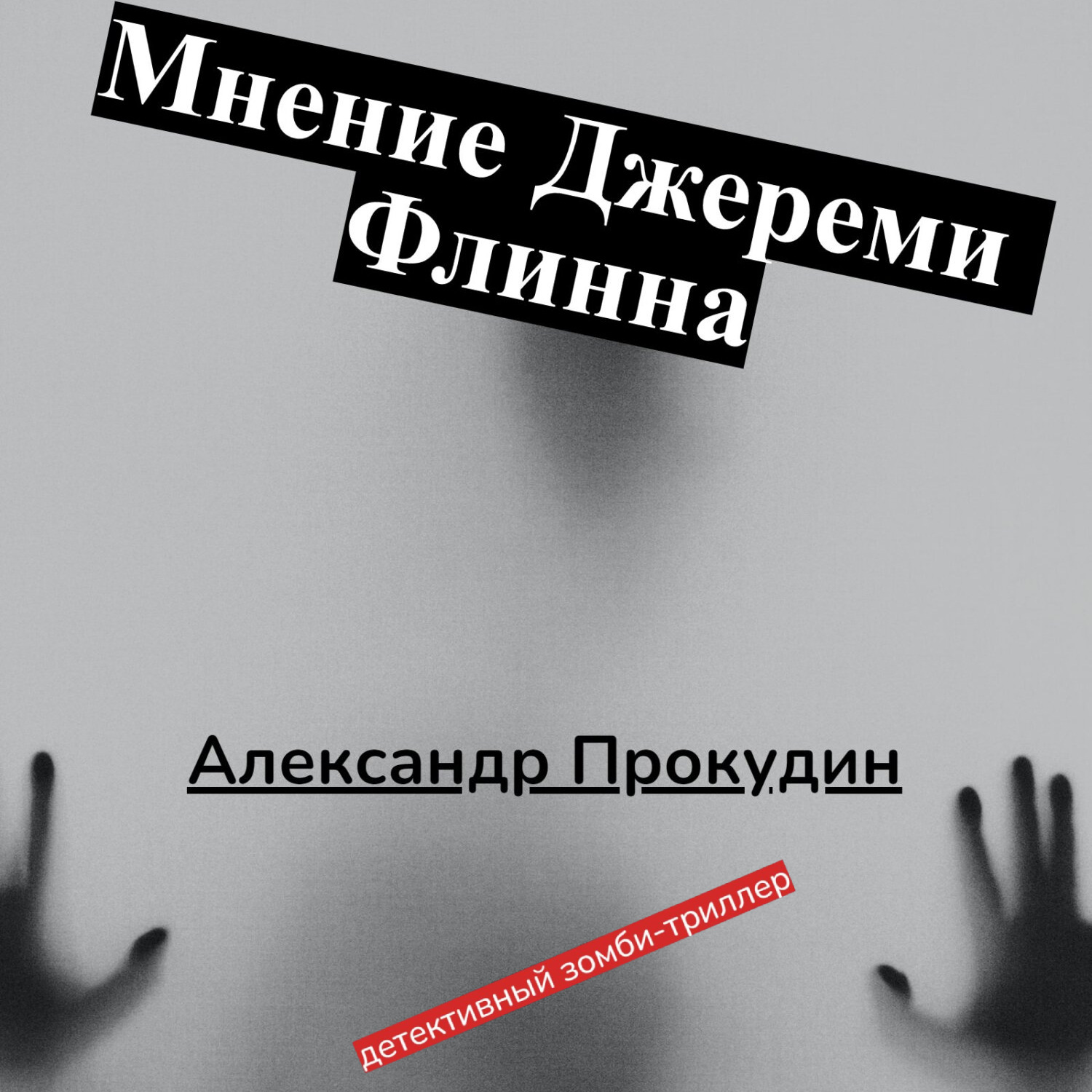 Обложка книги «Мнение Джереми Флинна»