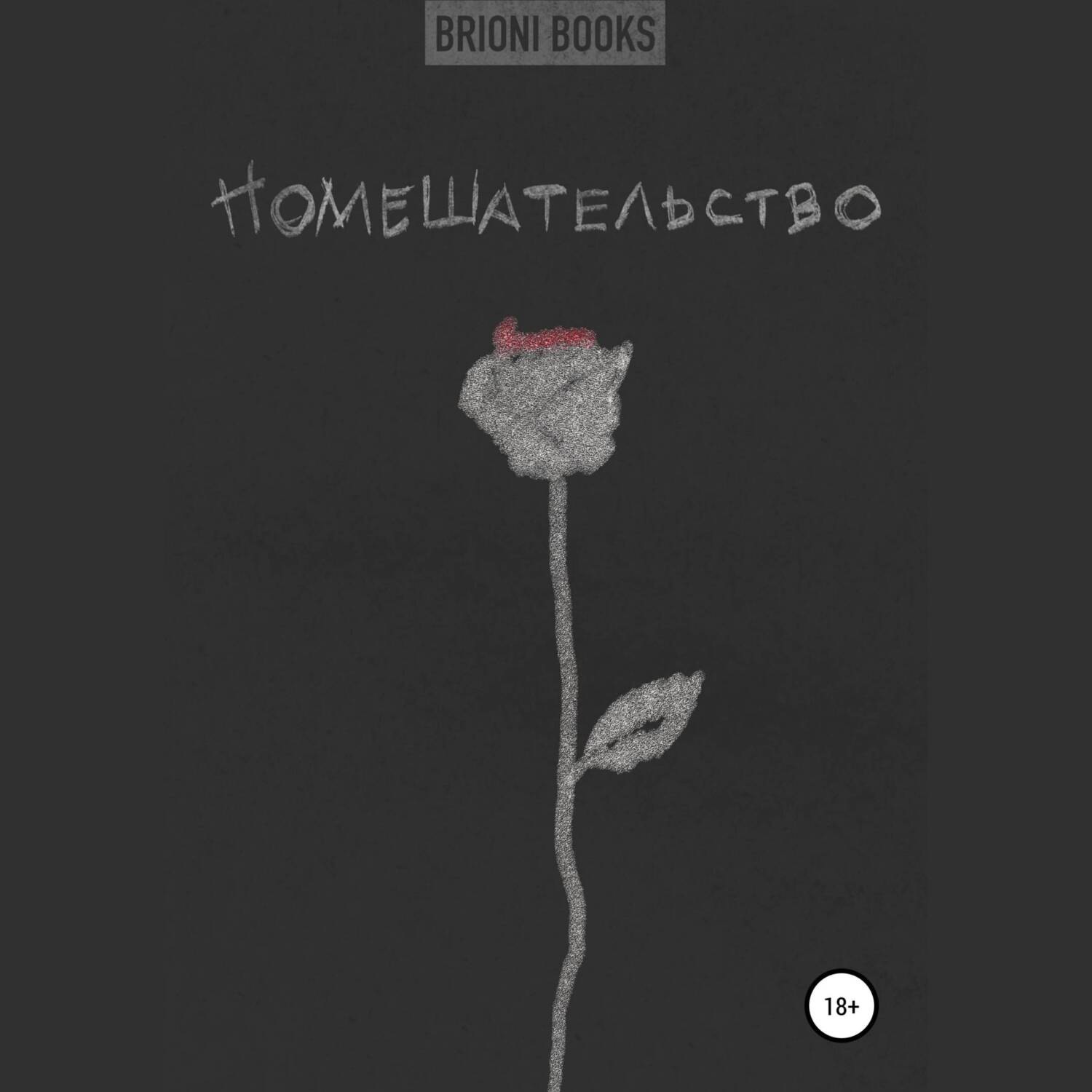 Обложка книги «Помешательство»