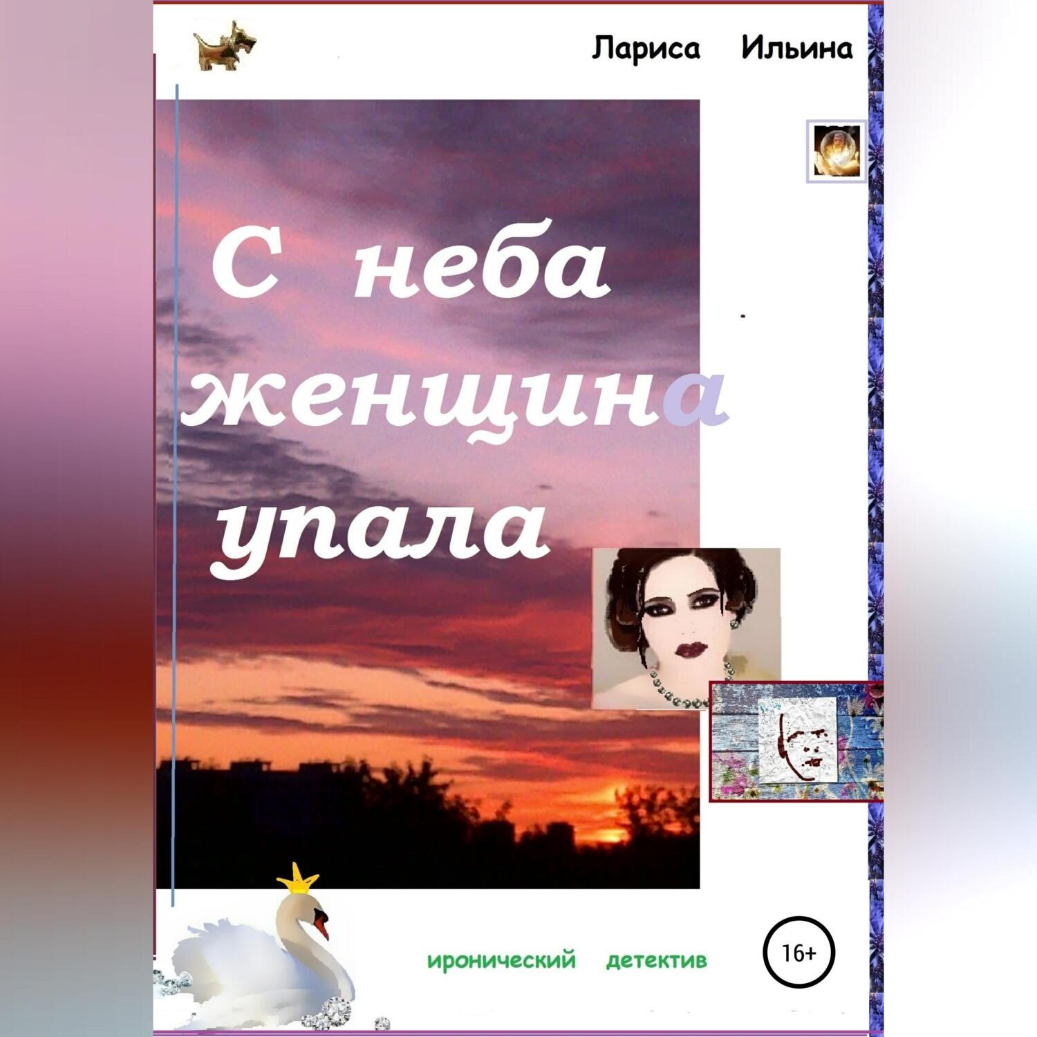 Обложка книги «С неба женщина упала»