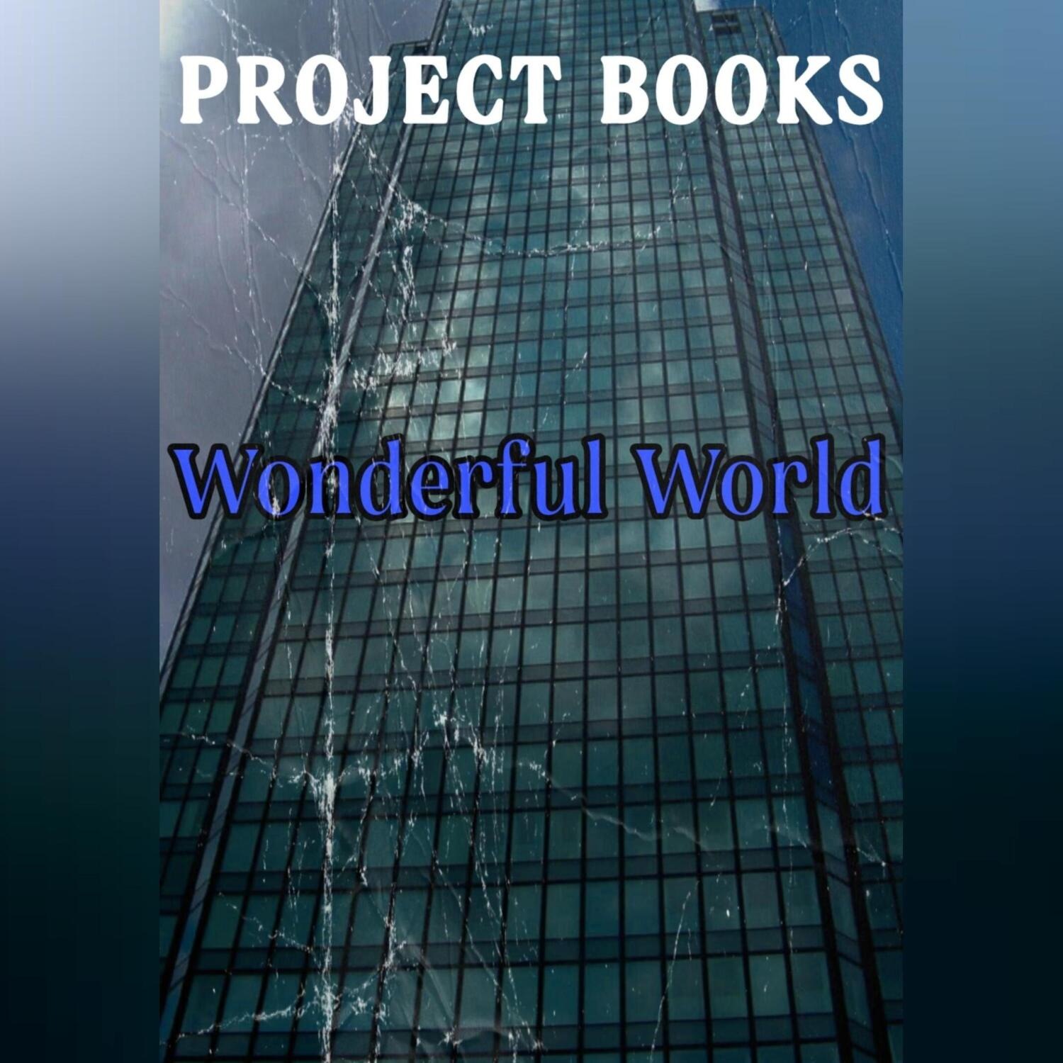 Обложка книги «Wonderful World»