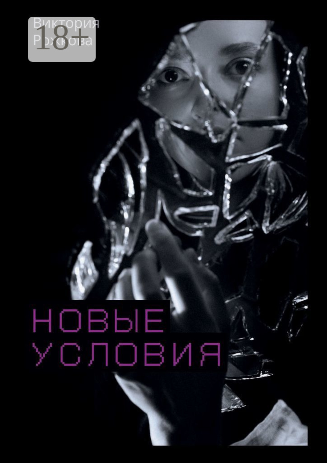 Обложка книги «Новые условия»
