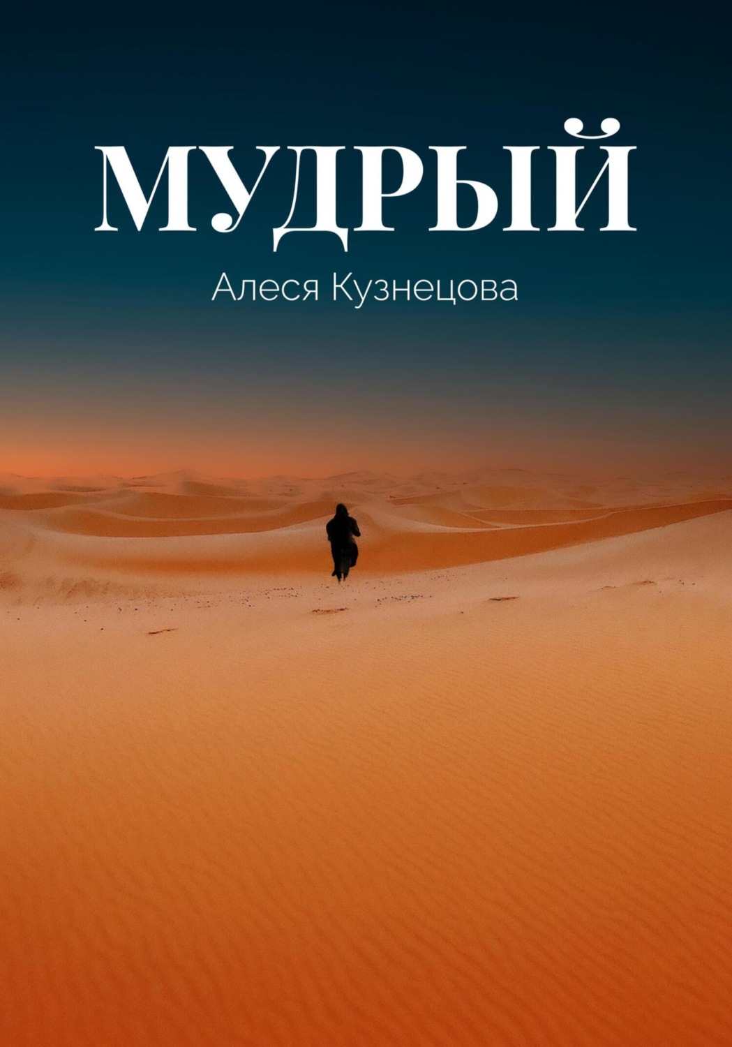 Обложка книги «Мудрый»