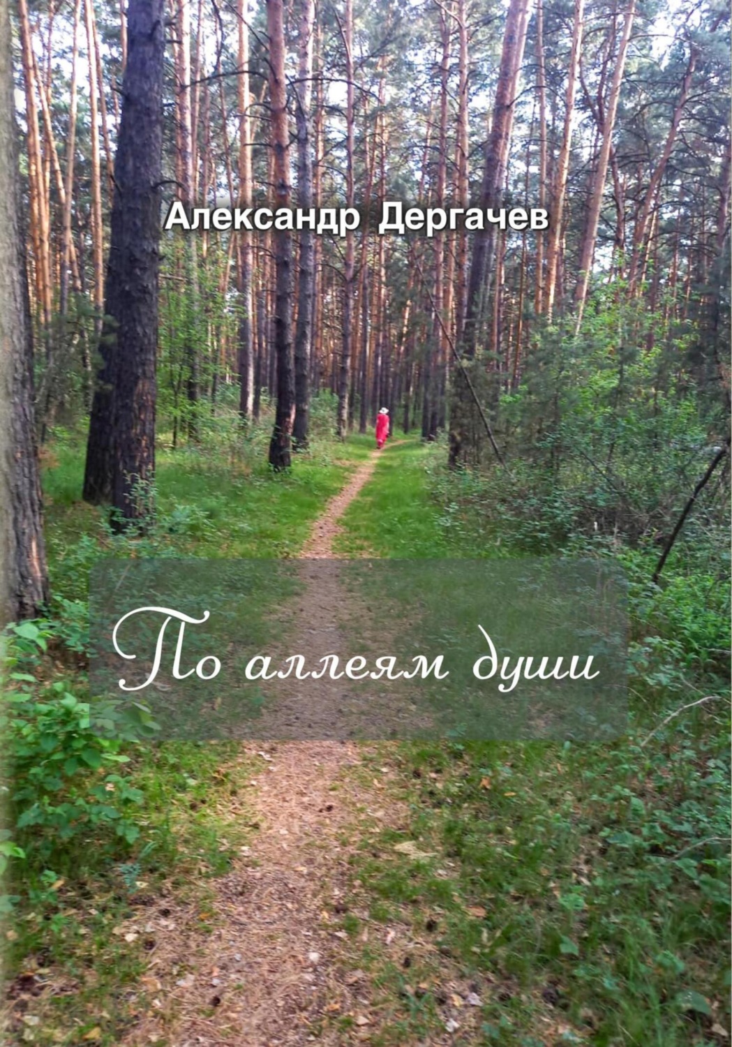 Обложка книги «По аллеям души»