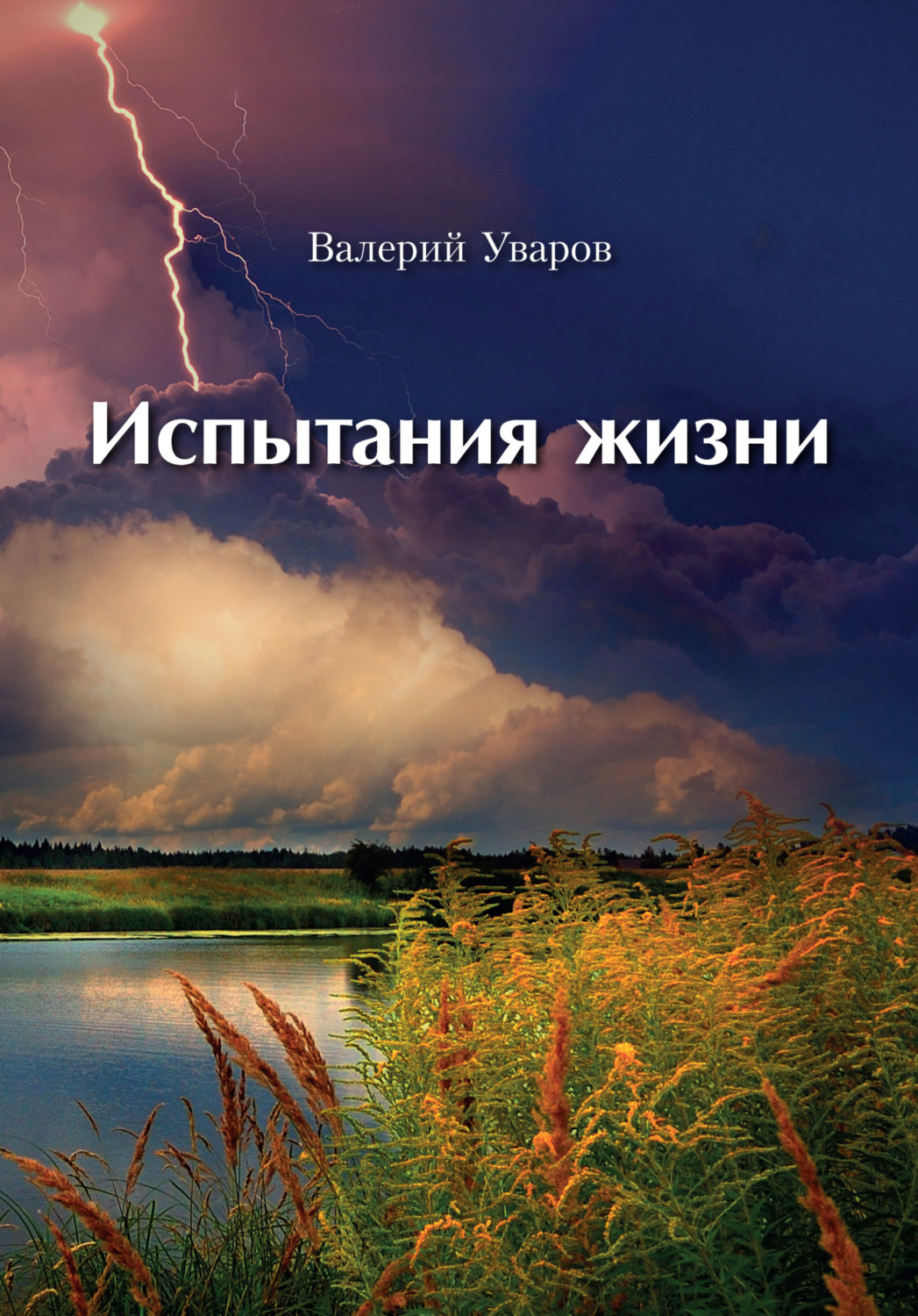 Обложка книги «Испытания жизни»