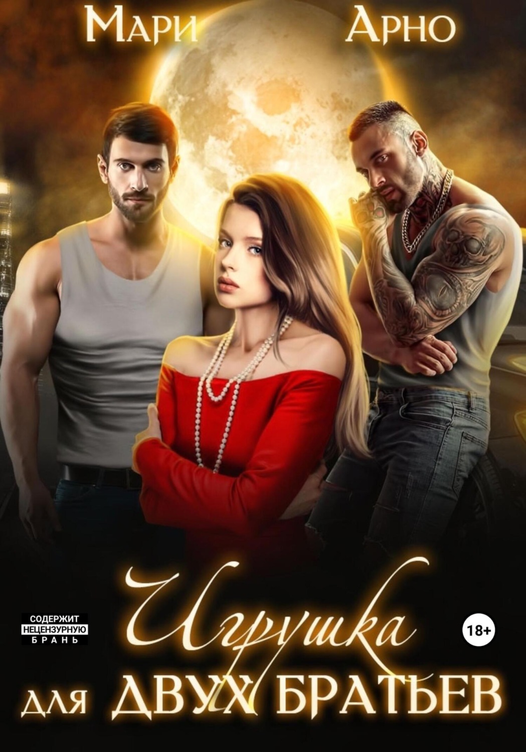 Обложка книги «Игрушка для двух братьев»