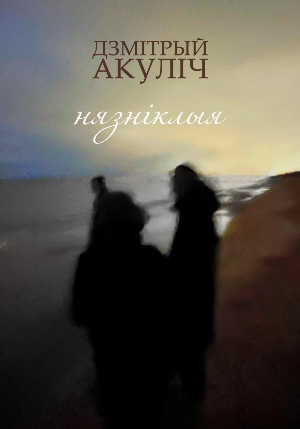 Обложка книги «Нязніклыя»